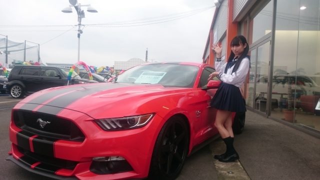 2010331-happy-and-dream-mustang01